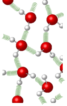 Hydrogen-bond Network Structure