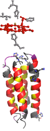 Heme Protein Reactivity